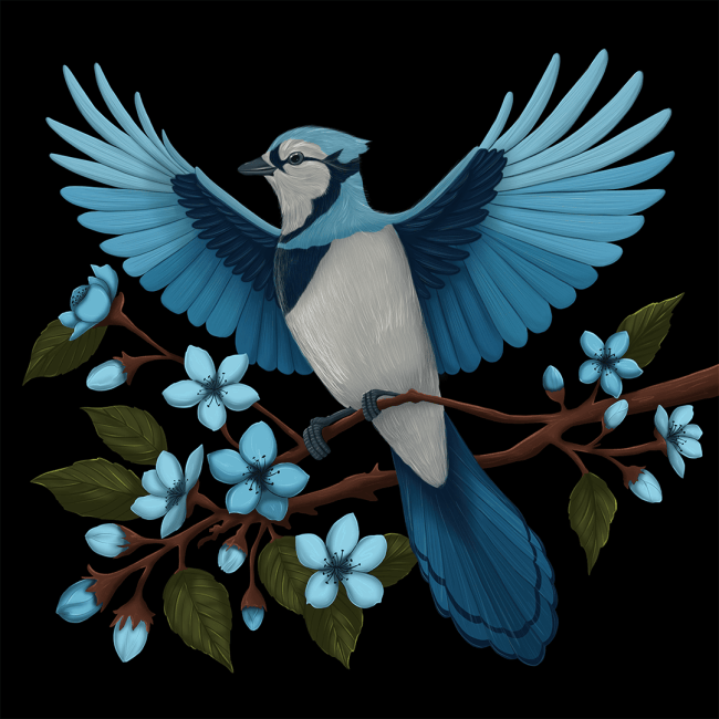 Jungle birds illustrations