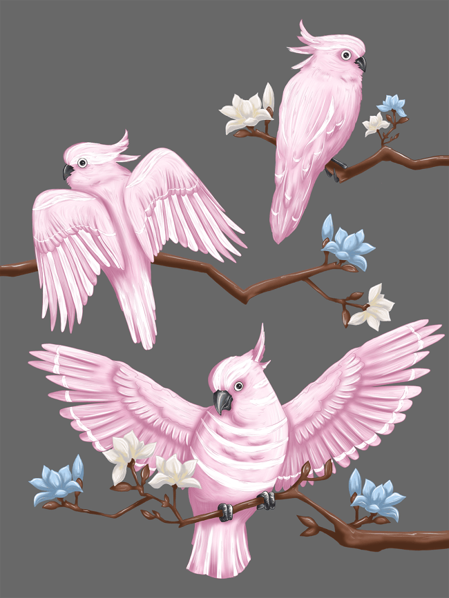 Jungle birds illustrations