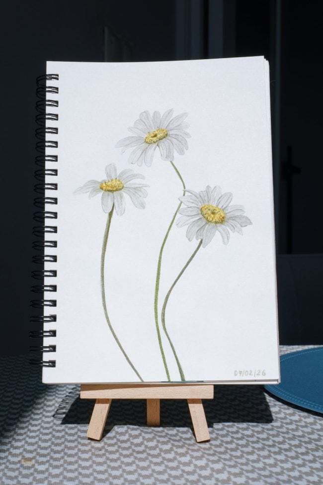 Original watercolor painting of three chamomile flowers on a sketchbook page displayed on a small wooden easel.
