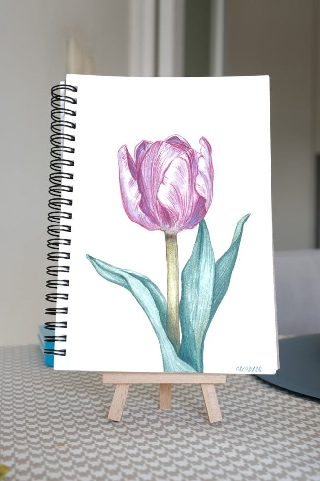 Pink Tulip Watercolor Painting – Minimal Botanical Art by Aduk Art