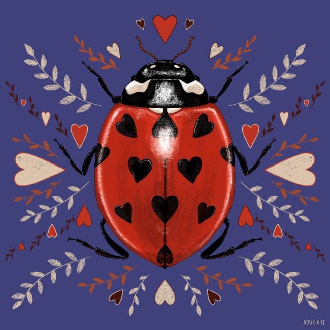 Red ladybug illustration with black heart-shaped spots, surrounded by decorative leaves and hearts on a blue background.