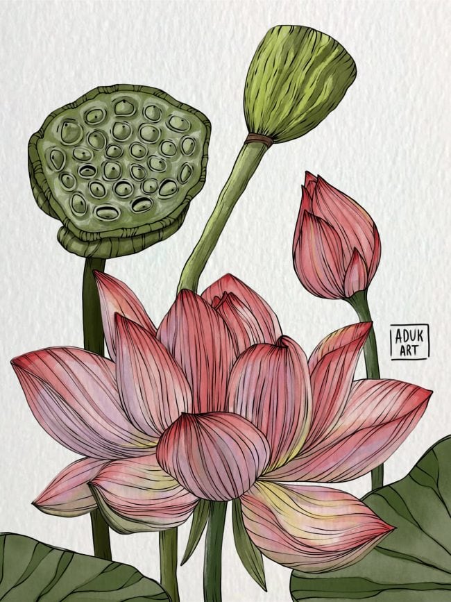 Lotus flower illustration with pink petals, green seed pod, and buds in a watercolor style on textured background.