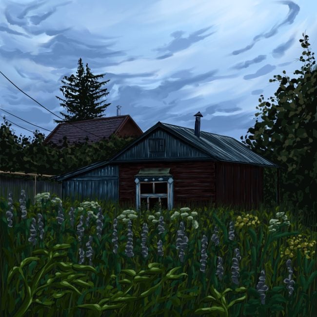 A House in the village